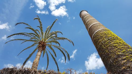 020_HY_Appia_Antica_Campania_2018_020.jpg
