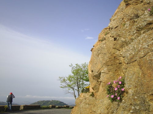 012_LRB_Aspromonte_2008_01.JPG