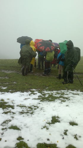 003_DG_1-2_giu_2013_01.jpg