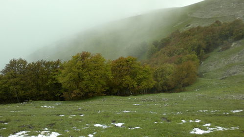 005_DG_1-2_giu_2013_02.jpg