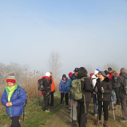 012_LRB_24__gen_2016_07.JPG