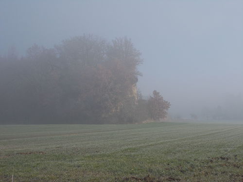 014_DG_24__gen_2016_02.JPG