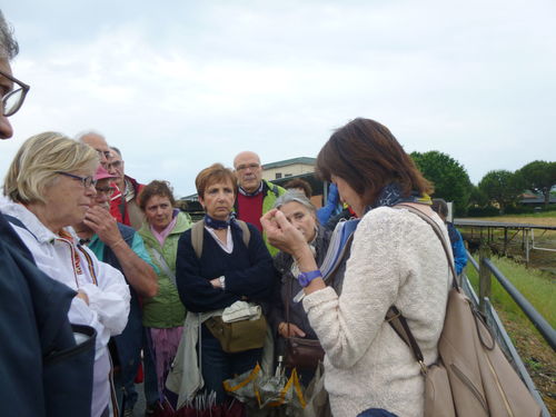 008_IL_lunigiana_2014__08.JPG