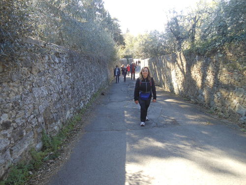 BT-fiesole-2019-02.JPG