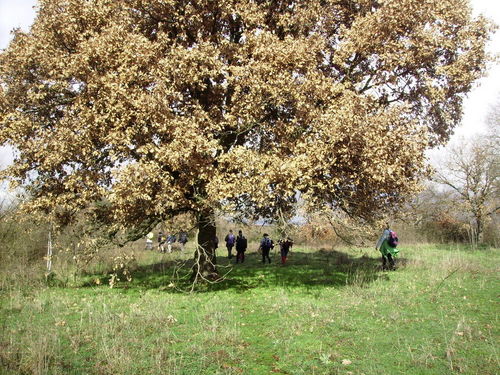 14_MV_8_feb_2009_05.JPG