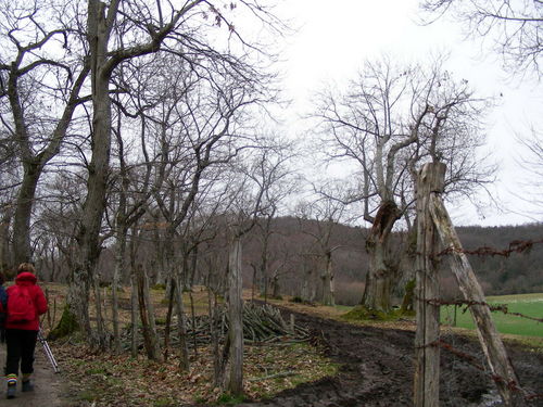 03_GS_18_gen_2009_01.JPG