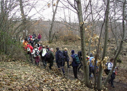 17_MV_18_gen_2009_02.jpg