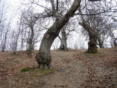 19_GF_19_gen_2009_02.jpg