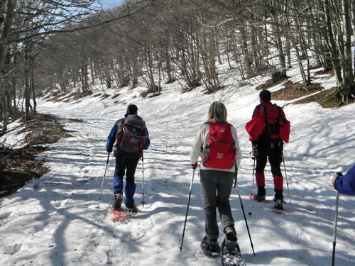 17_MV_04_mar_2012_03.jpg