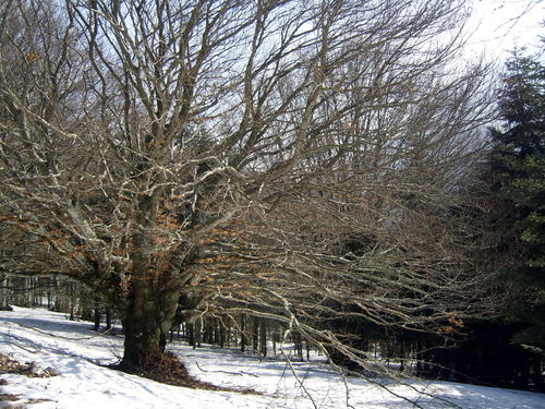 19_ST_4_mar_2012_10.JPG