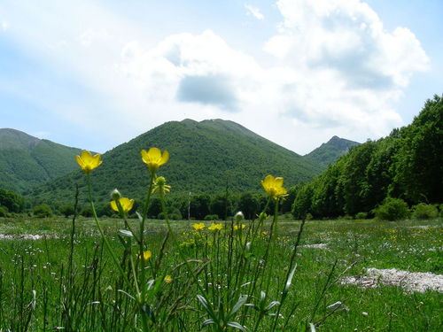 GS_29-30_mag_2010_04.JPG