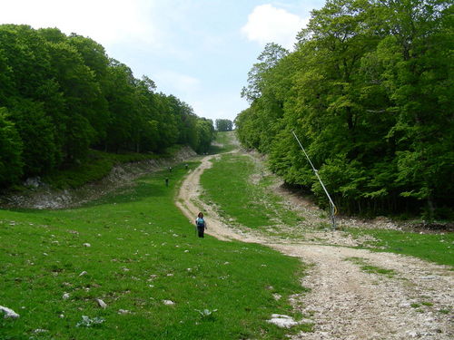 GS_29-30_mag_2010_11.JPG