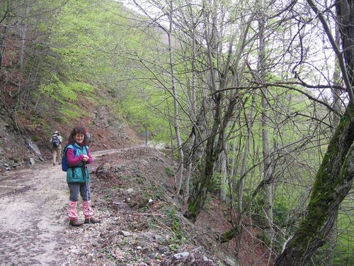 OF_Monti_della_Laga_apr_2006_05.jpg