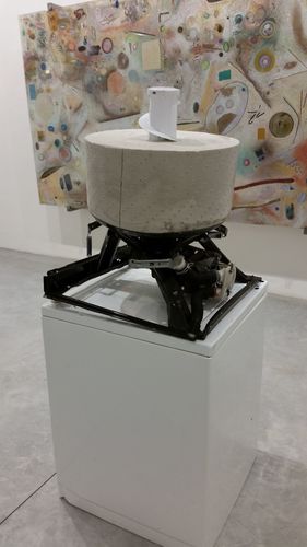 11_DG_19_mar_2017_11.jpg