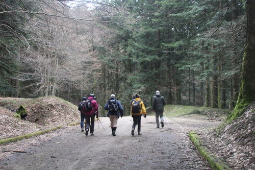 11_SC_15_apr_2018_05.JPG