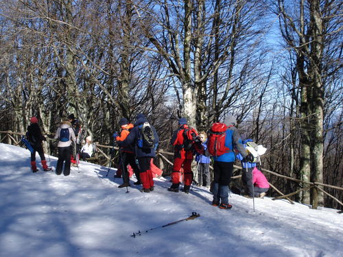08_ER_21_gen_06.JPG