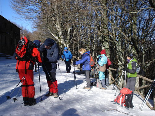 11_ER_21_gen_09.JPG
