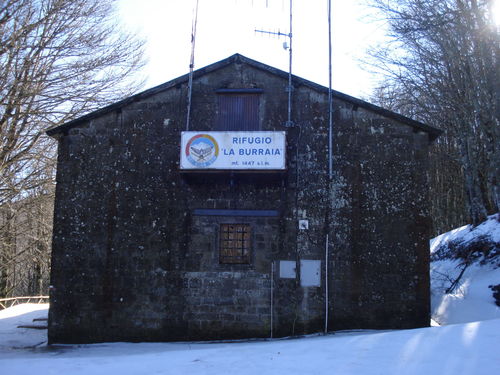 13_ER_21_gen_11.JPG