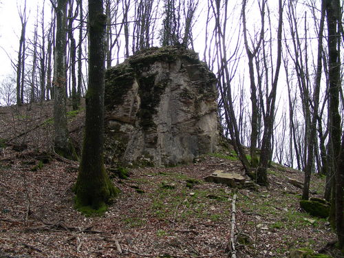 GS_18_mar_2007_12.JPG