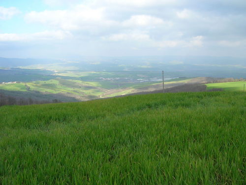 BT_18_mar_2007_8.JPG