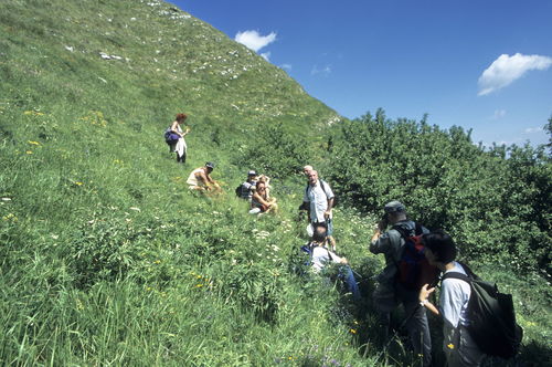 GS_17_giu_2001_07_dia_65-21.jpg