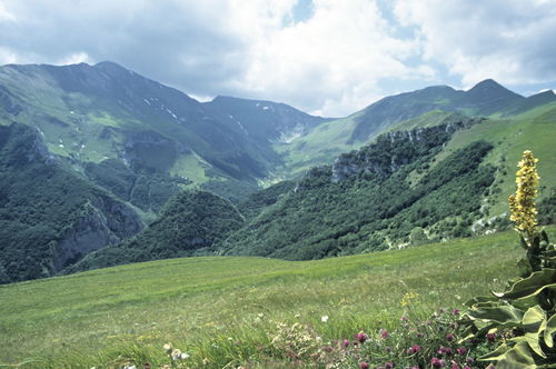 GS_17_giu_2001_13_dia_65-27.jpg