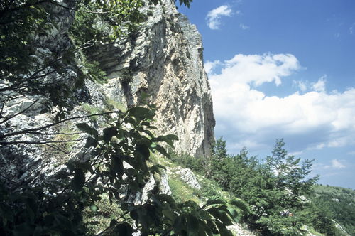 GS_17_giu_2001_20_dia_65-34.jpg