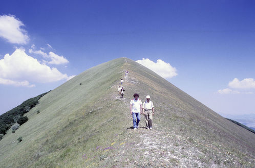 GS_11_giu_1989_4_dia_31-47.jpg