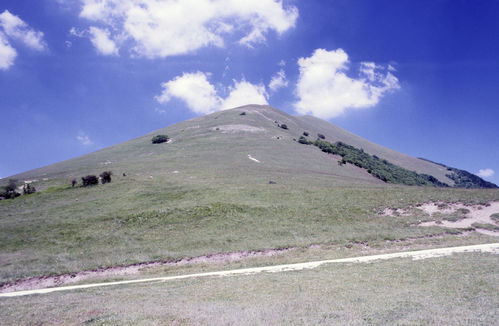 GS_11_giu_1989_7_dia_31-50.jpg