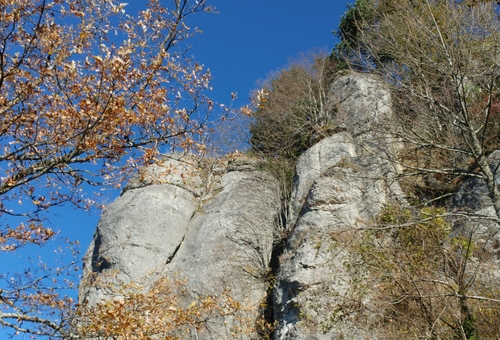 016-AP-21 nov-2021-09.jpg