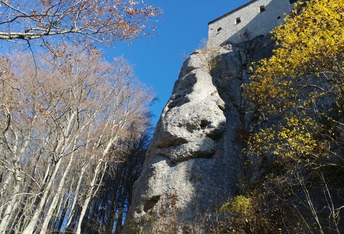017-AP-21 nov-2021-10.jpg