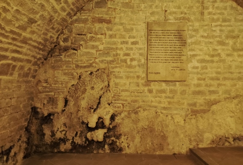 IL 20230827 18.jpg