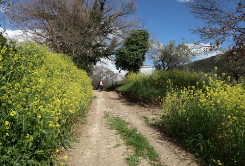 GS 14032024 14.JPG