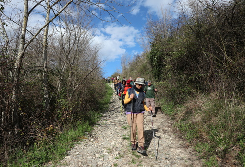 GS 14032024 18.JPG