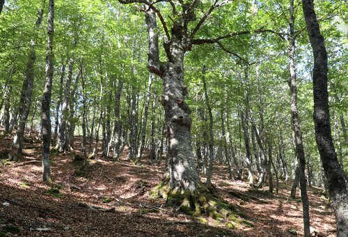 03 GS 04082024 03.JPG