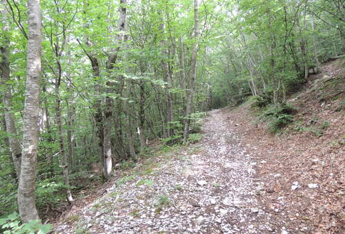 008_ST_Valsorda_2025_04.JPG